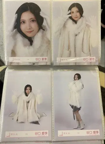 사쿠라자카46 타니구치 아이리 브로마이드 - 겨울 의류