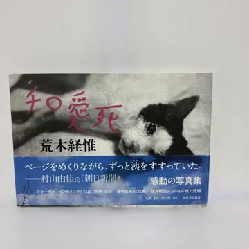 치로 아이시 아라키 노부요시