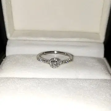 반돔 아오야마 그레이스 반지