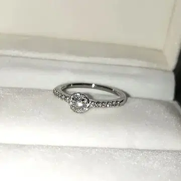 반돔 아오야마 그레이스 반지