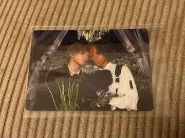 여왕벌 봉희왕 8 아브짱 히바리군