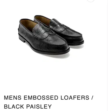 켄포드 로퍼 페이즐리 24.5