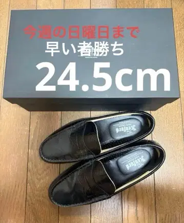 켄포드 로퍼 페이즐리 24.5