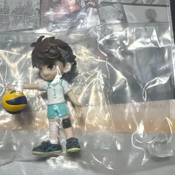 팔버스 PalVerse 하이큐 오이카와 토오루