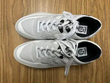 ZDA 38 사이즈 일광화상 있음