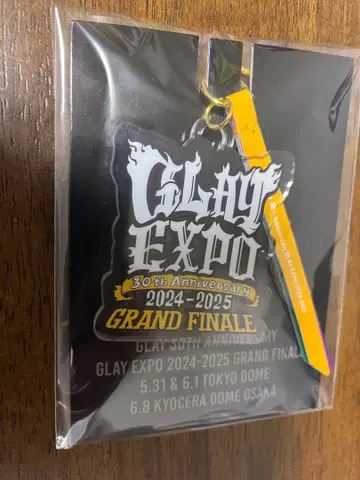 GLAY EXPO 30주년 기념 키링