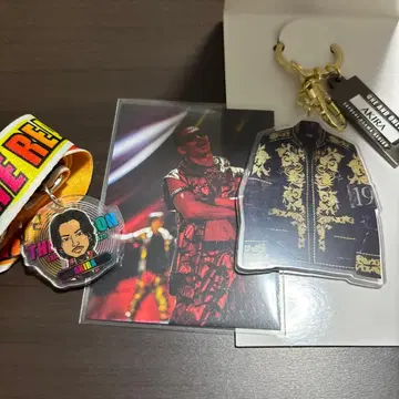 의상전 코스튬 키링 AKIRA