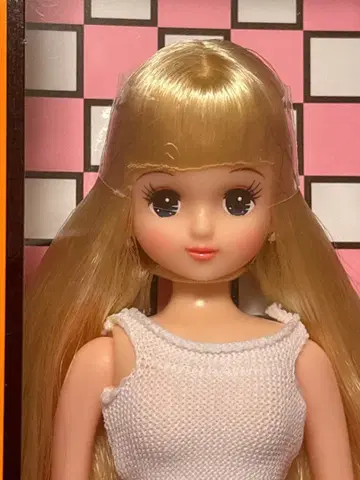 아키짱 2014년 일본바시 BASIC 모델 리카짱