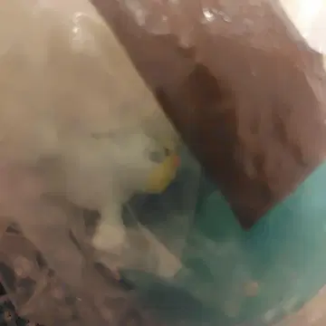 (미개봉품) 입체 포켓몬 도감 파우와우 쥬곤 3