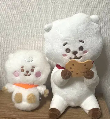 RJ 봉제 인형 세트 BT21
