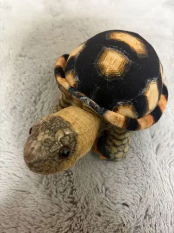 거북이 봉제 인형