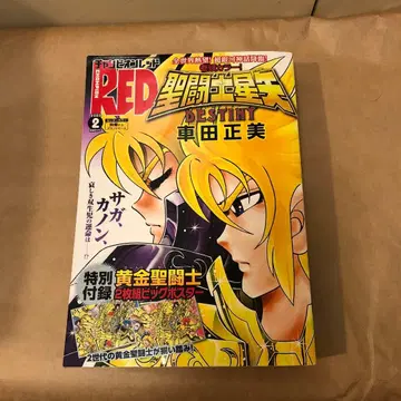 월간 챔피온 RED 2020년 2월호 세인트 세이야 DESTINY