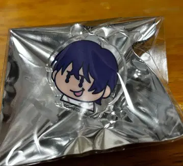 카리스마 간보 투어 복권 특전 SD 캐릭터 반지 모토하시 이오리