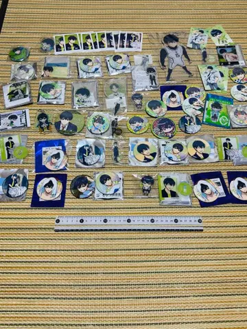 블루 록 이사기 요이치 캔뱃지 아크릴 스탠드 등 굿즈 세트 b