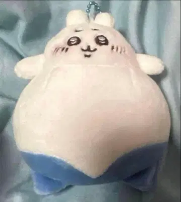 치이카와 (먼작귀) 하치와레 에러품 볼체인 생애 주기 역전