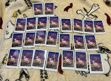 니지산지 아라비아 폴라로이드 와타라이 히바리