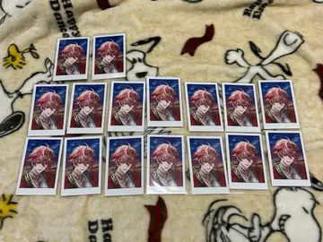 니지산지 아라비안 폴라로이드 세라프 대즐 가든