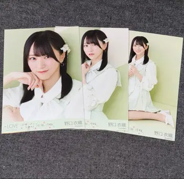 =LOVE 이코라부 브로마이드 컴프 노구치 이오리 벚꽃 피는 소리가 났다