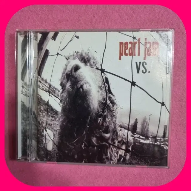 펄잼 (Pearl Jam) VS. 앨범 CD M