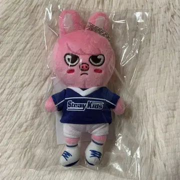 Stray Kids 스키즈 POP UP 돼끼 백참