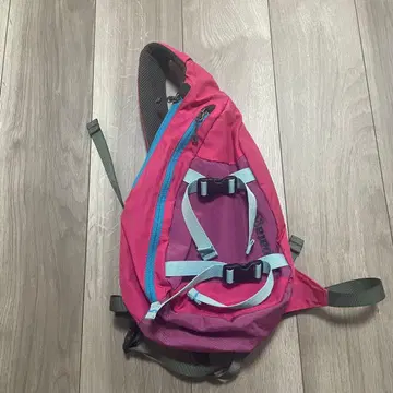 patagonia 파타고니아 아톰 슬링백