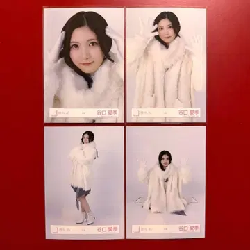 사쿠라자카46 브로마이드 타니구치 아이리 겨울 의류 컴프