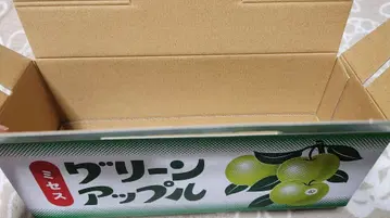 Mrs. GREEN APPLE 그린애플 대사 아오모리Ver 빈 상자