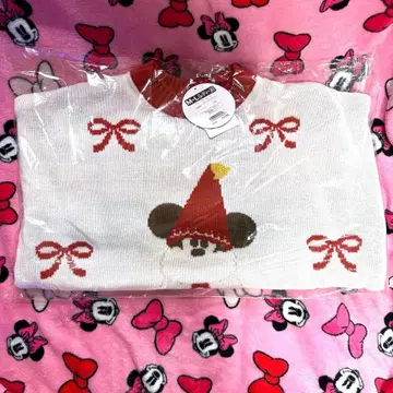 릴린린 스웨터 [ M~L ] 디즈니 크리스마스 2025