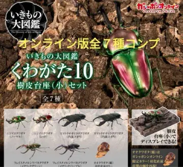 온라인판 생물대도감 장수풍뎅이 10 전 7종 컴프 세트 받침대 포함