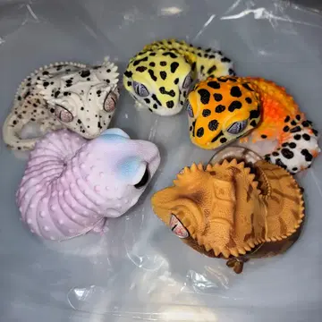 생물대도감 소프트 비닐 컬렉션 레오파와 크레스 5종 세트