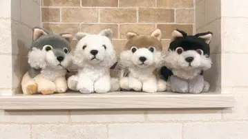 복슬복슬 늑대 미스터리움 전 4종 레이라 카미온 루가 헌터