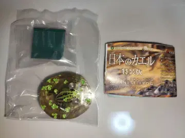 일본 개구리 특장판 도쿄달팽이