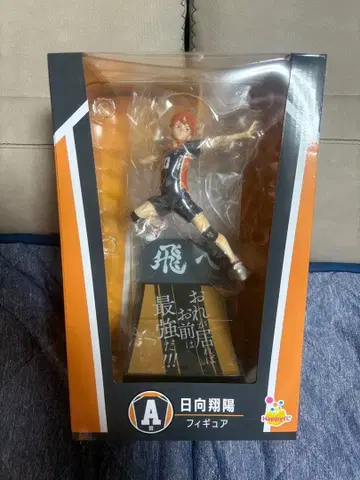 하이큐 HAPPY 복권 히나타 쇼요