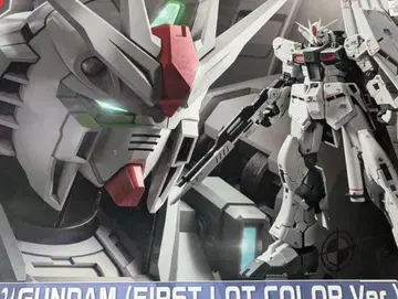 RG 뉴 건담 퍼스트 로트 컬러