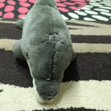 그레이 돌고래형 봉제 인형