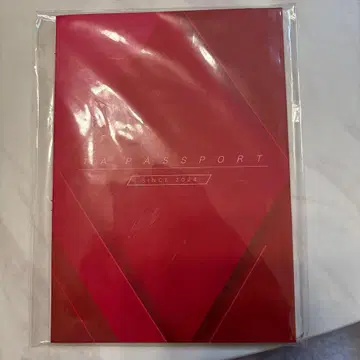 하마사키 아유미 TA 여권