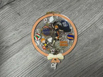 히나타 쇼요 하이큐 아크릴 키링