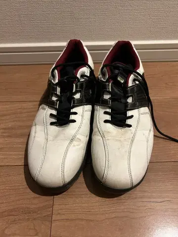 골프화 화이트/블랙