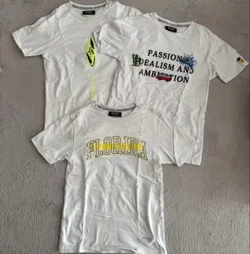 RTEG FLORIDA 360 COASTLINE 티셔츠 3개 묶음 판매