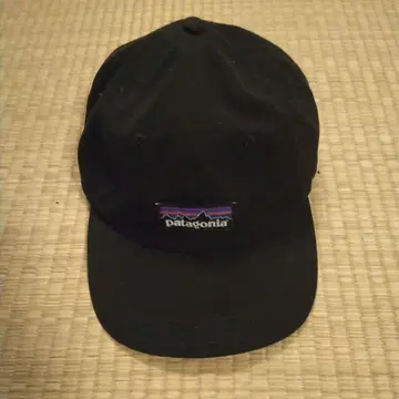 Patagonia 블랙 캡