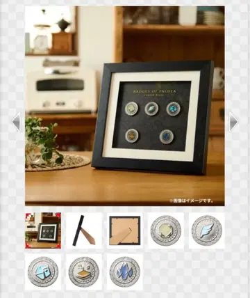 포켓몬 배지 컬렉션 레전드 루트 세트 프레임 포함