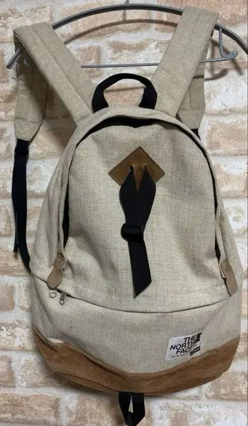 THE NORTH FACE 베이지 백팩