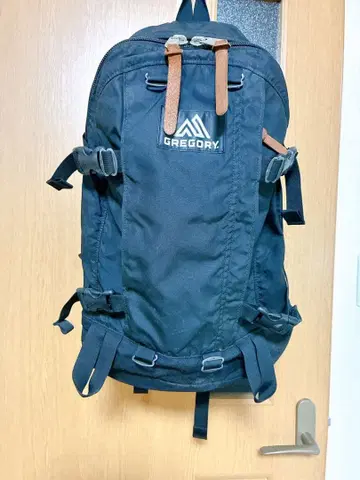 새상품급 GREGORY 올데이