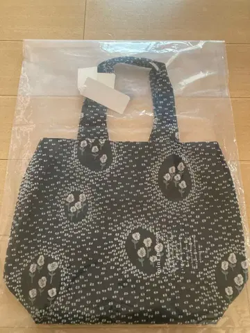 미나 페르호넨 파니니 백 ballade