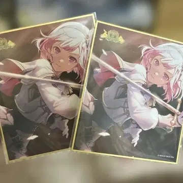 프로세카 호우 에무 미니 색지