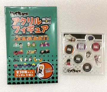 하이큐!! 아크릴 minimini 피규어 쿠로오 텐도 타나카 외