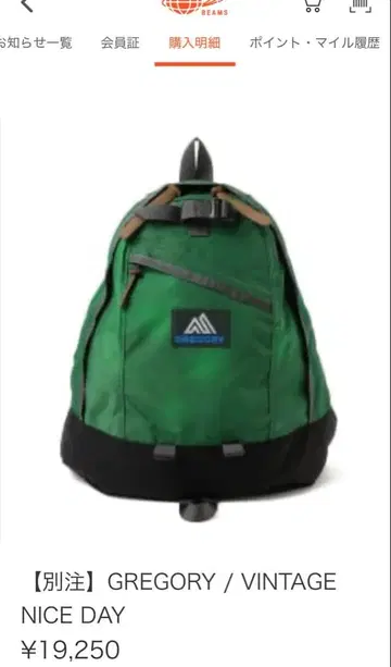 GREGORY 빔즈 보이 별주 NICE DAY 백팩