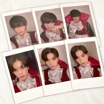 슌 나나크로니클 하피카