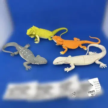 도마뱀 킹덤 거대 도마뱀 등장 컴프