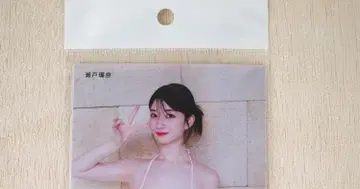 세토 카나 생사진 5장 세트 (캠페인 2025)